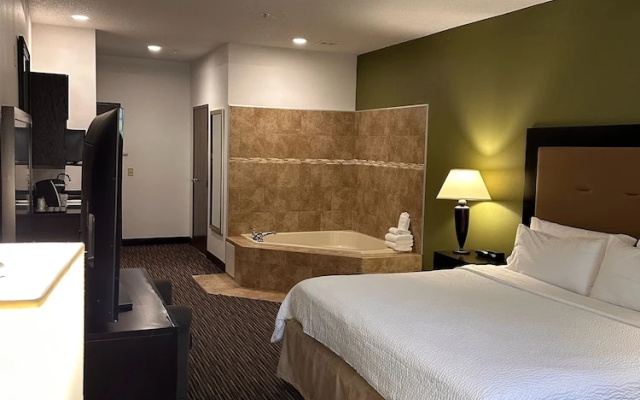 1 Bedroom Suite