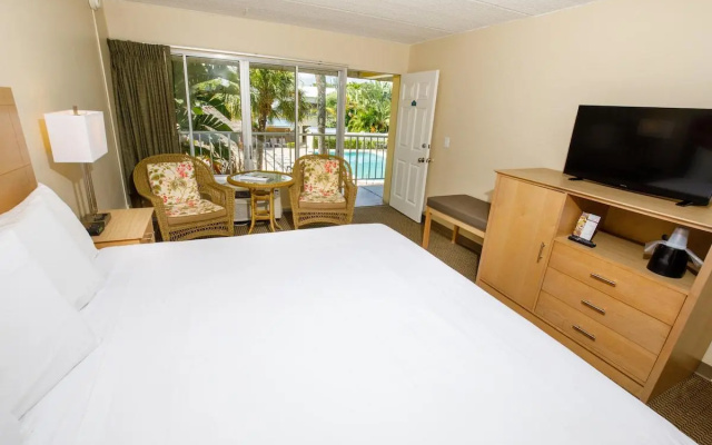 Standard Double room with pool view