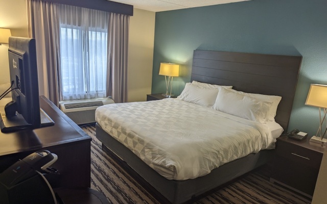 1 Bedroom Suite