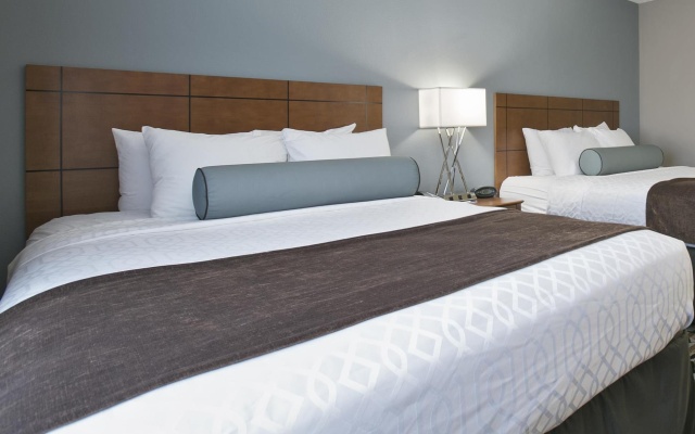 Twin Suite