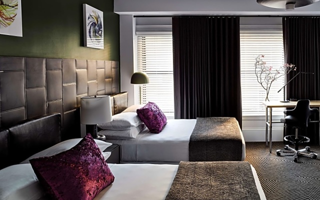 Family Quadruple Suite