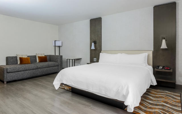 1 Bedroom Presidential Double Suite