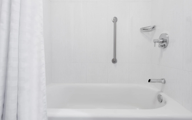 1 Bedroom Premium Suite