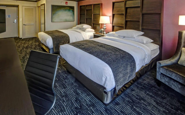 Twin Suite