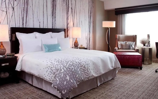 Standard Double Club room with park view