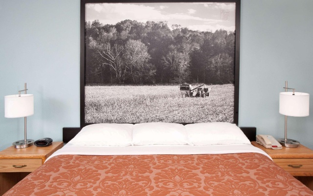 Standard Double room