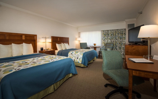 Premium Quadruple room