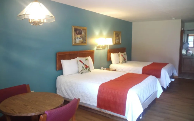 Standard Quadruple room with mountain view