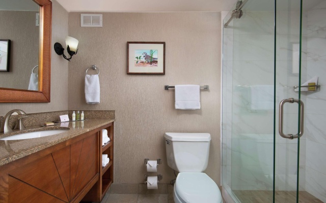 Standard Double room with inland view