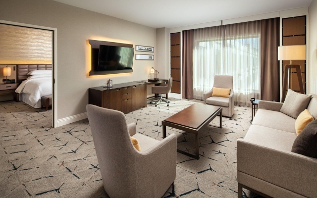 1 Bedroom Double Suite with city view