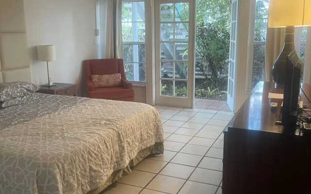 Double Studio with garden view