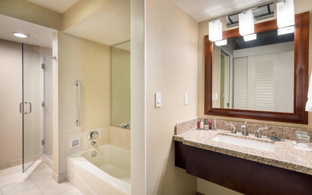 1 Bedroom Double Suite with bay view