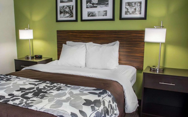 1 Bedroom Standard room