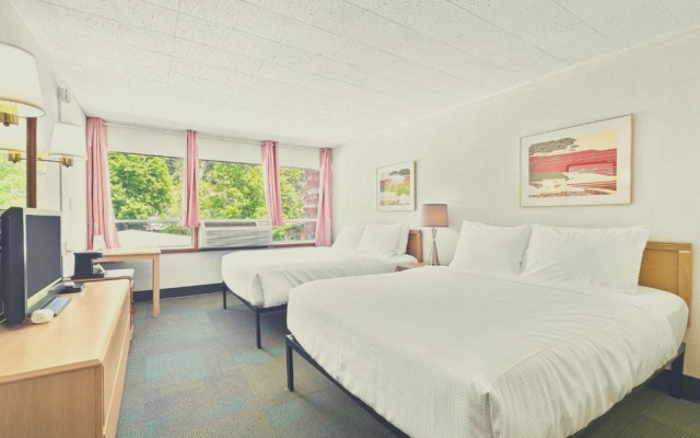 Superior Quadruple room