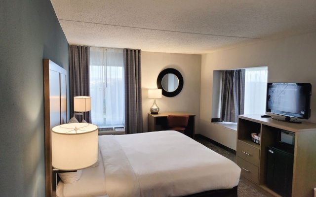 1 Bedroom Double Suite