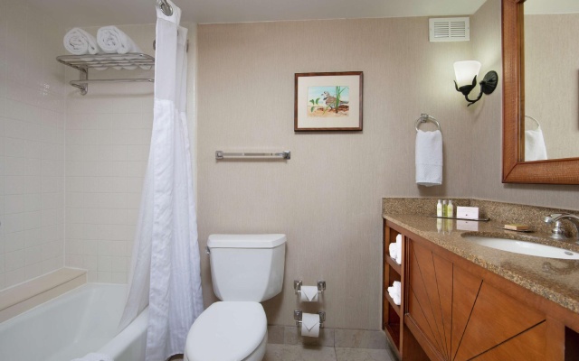 Standard Double room with balcony and with bay view