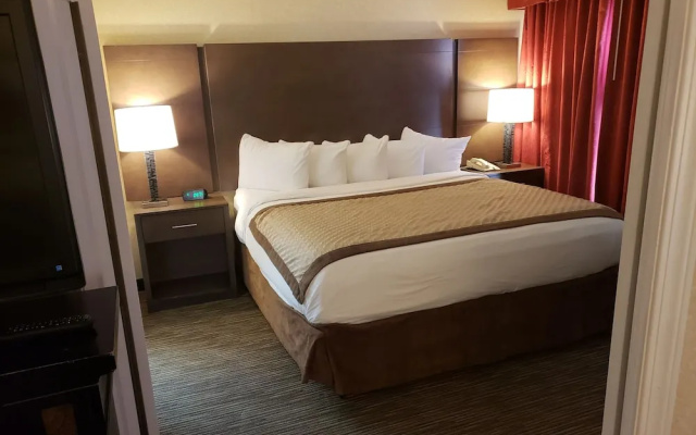 1 Bedroom Standard Double Suite