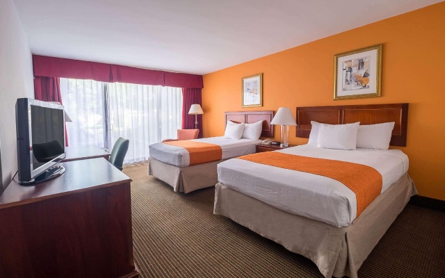 Quadruple room