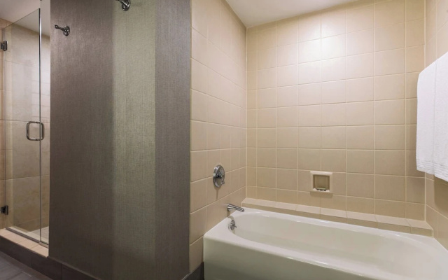 1 Bedroom Executive Suite with river view
