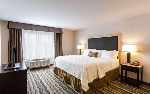 1 Bedroom Suite