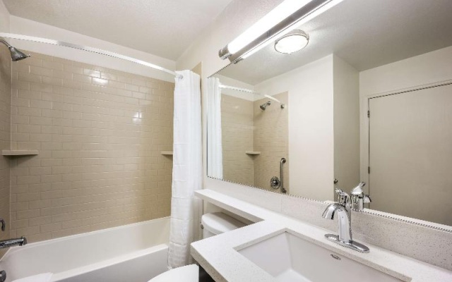 1 Bedroom Suite