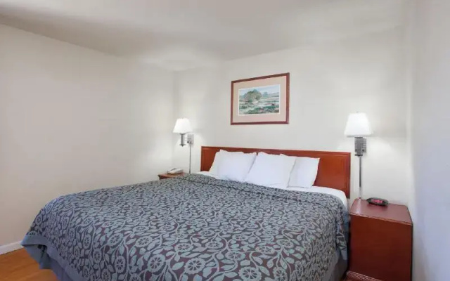 Twin Suite