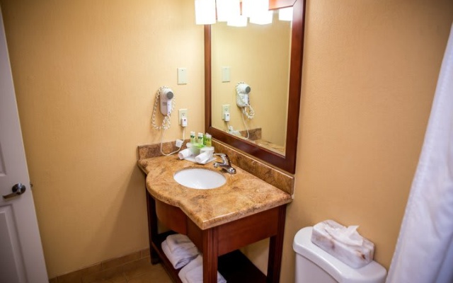 Standard Suite