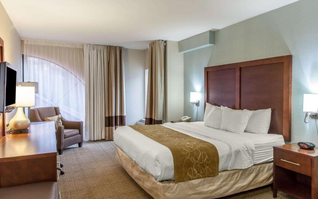 Superior Suite