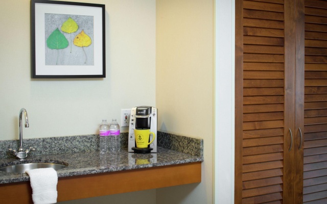 1 Bedroom Suite