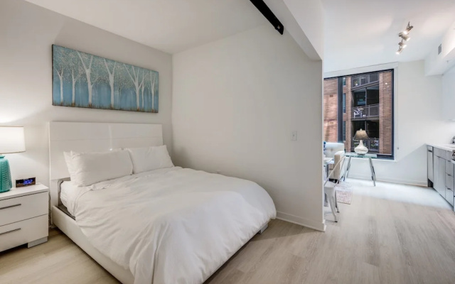 Luxury Apartment