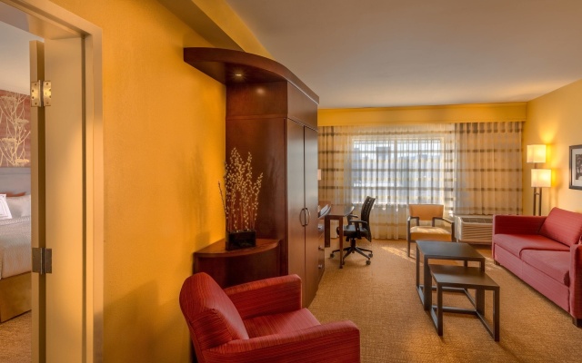 1 Bedroom Suite with city view