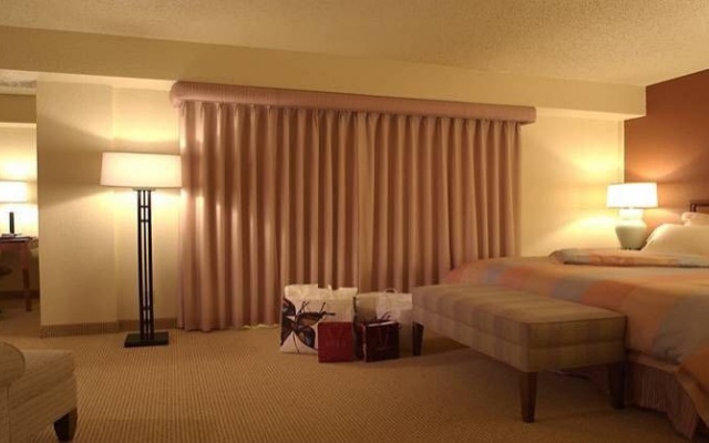 1 Bedroom Suite