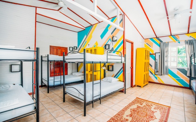 Bed in Dorm