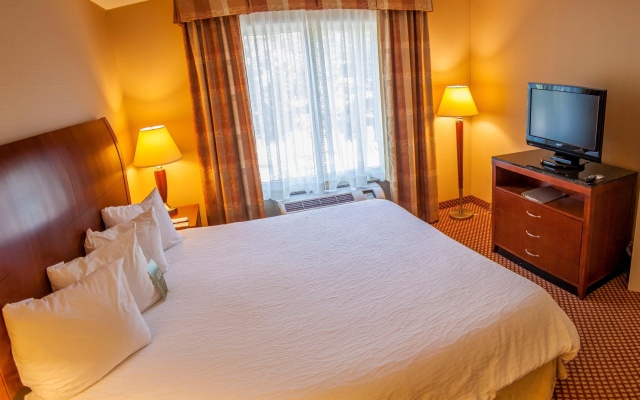 1 Bedroom Suite
