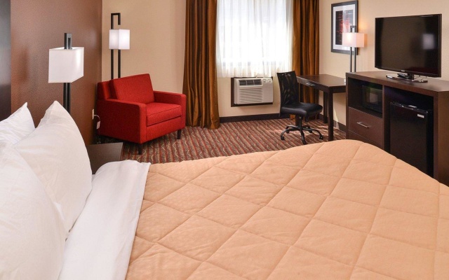 1 Bedroom Double Suite