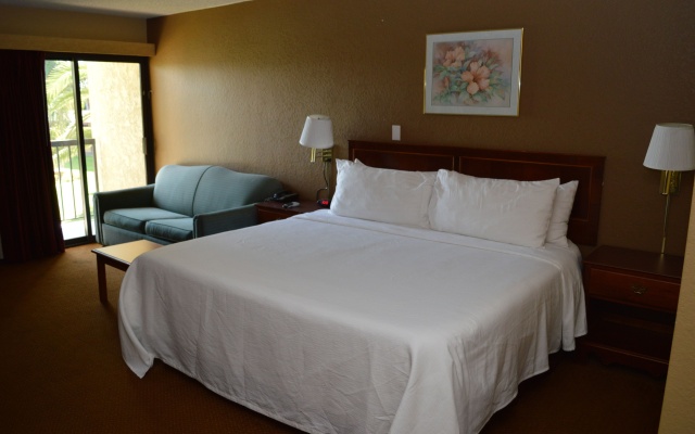 Executive Double room with balcony and with pool view