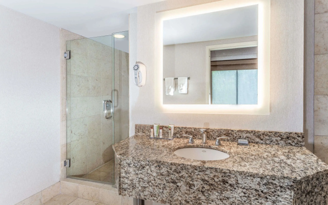 Business Double Suite