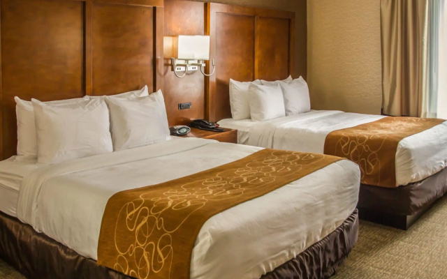 Quadruple Suite