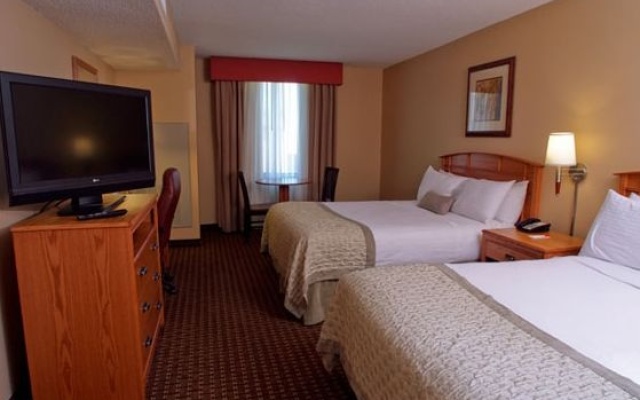Deluxe Quadruple room with pool view