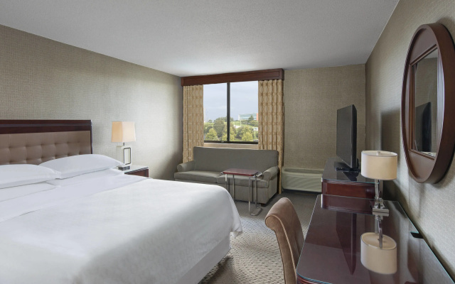 Standard Double Club room