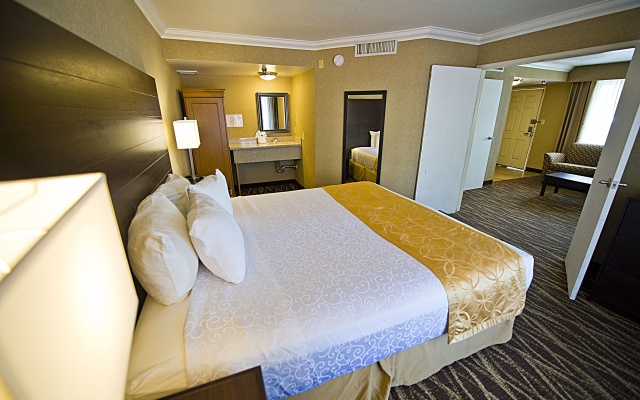 Executive Double Suite with city view