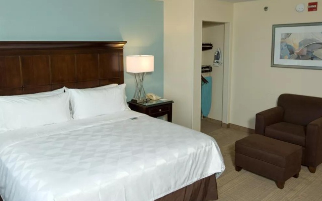 1 Bedroom Double Suite with garden view