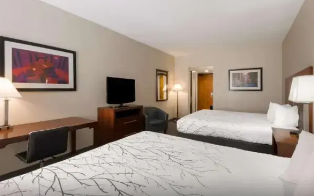 Accessible Twin room