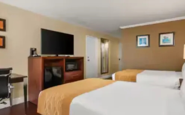 Room with ocean view