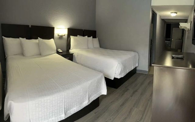 1 Bedroom Quadruple Suite
