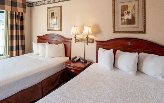 Deluxe Twin Suite
