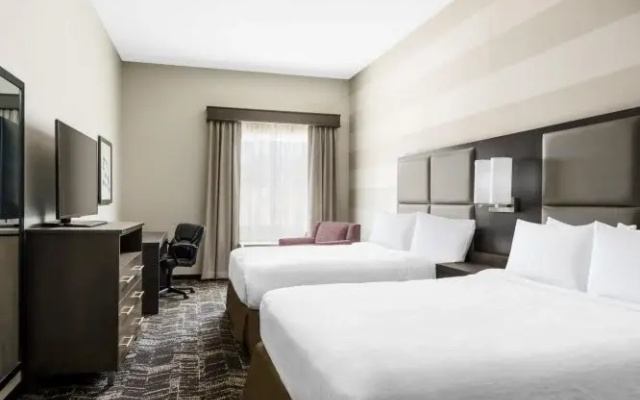 Twin Suite