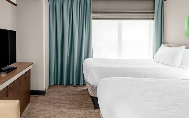 Twin Junior Suite with Sofa Bed