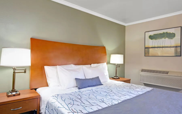 Accessible Double room
