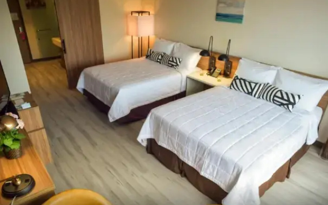 Twin room Meadowlands View